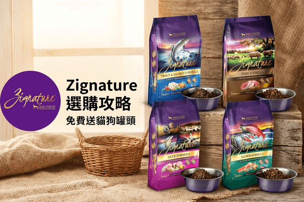 Zignature 選購攻略