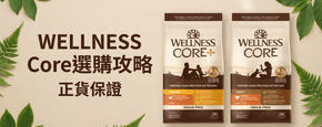 WELLNESS Core 選購攻略