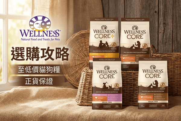 WELLNESS Core 選購攻略