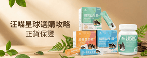 汪喵星球 選購攻略