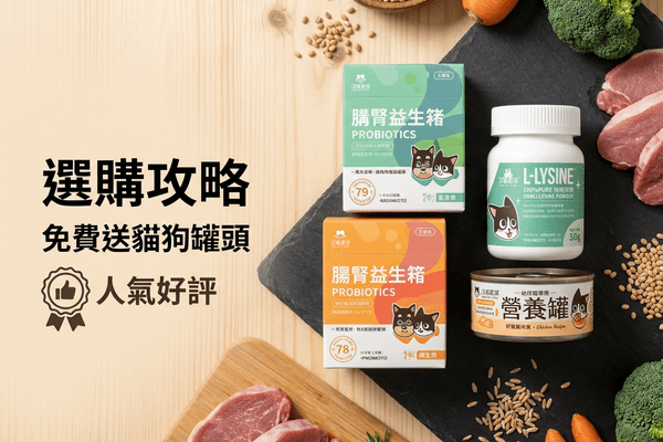 汪喵星球 選購攻略