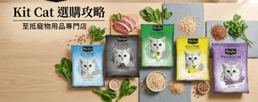 Kit Cat 選購攻略