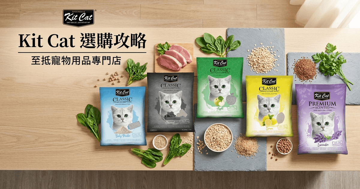 Kit Cat 選購攻略