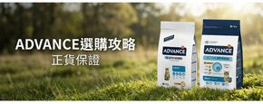 ADVANCE 選購攻略