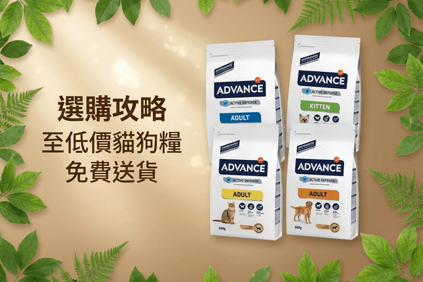 ADVANCE 選購攻略