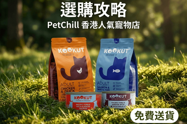KOOKUT 選購攻略