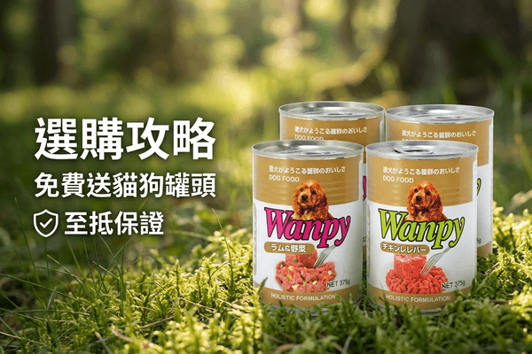 Wanpy 選購攻略