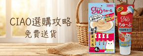 CIAO 選購攻略