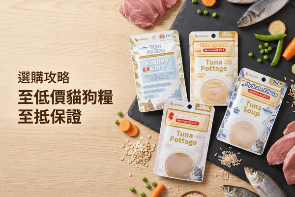 Astkatta 選購攻略