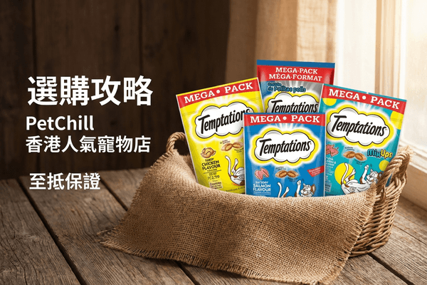 Temptations 選購攻略