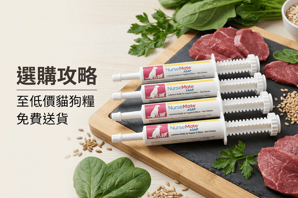 NurseMate 奶滋味 選購攻略