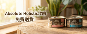 Absolute Holistic 選購攻略