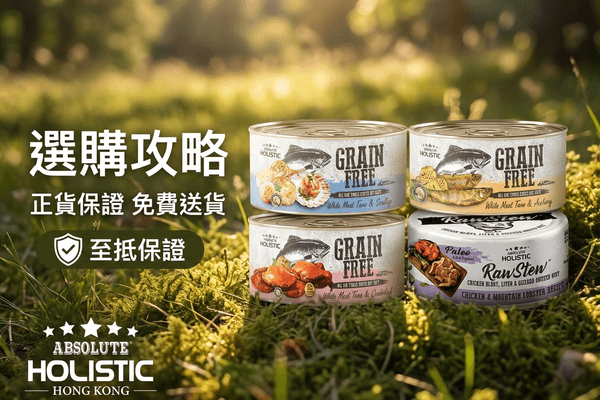 Absolute Holistic 選購攻略
