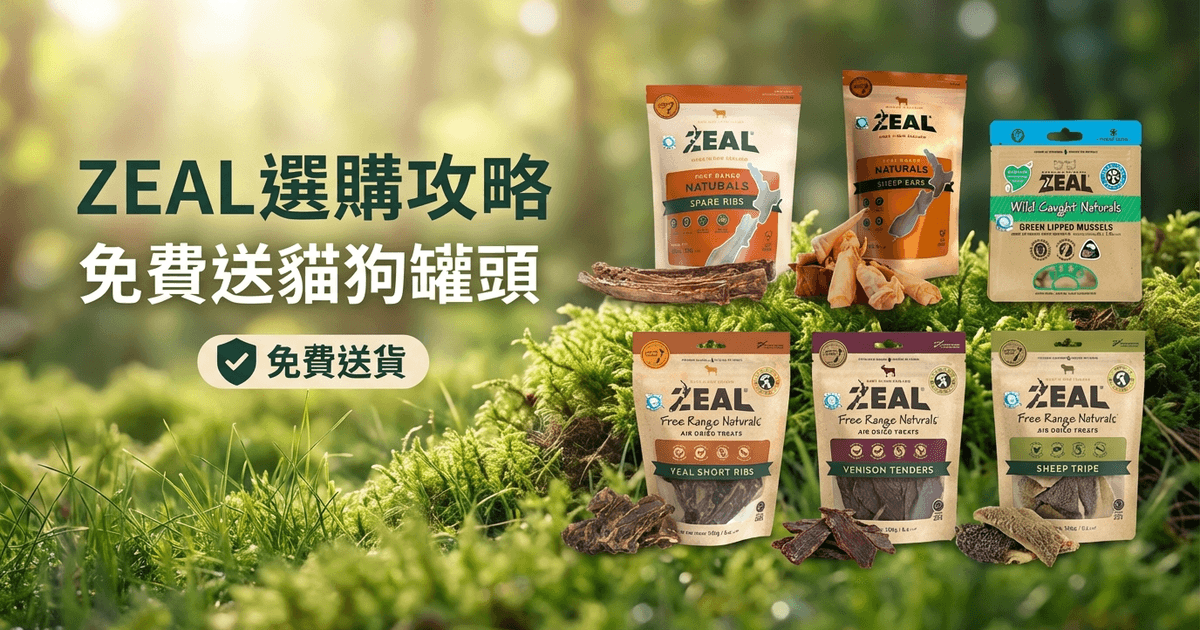ZEAL 選購攻略
