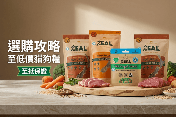 ZEAL 選購攻略