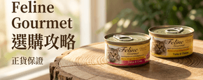 Feline Gourmet 選購攻略