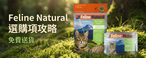 Feline Natural 選購攻略