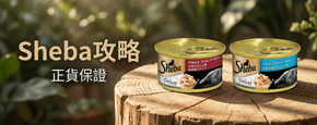 Sheba 選購攻略