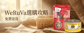 WeRuVa 選購攻略