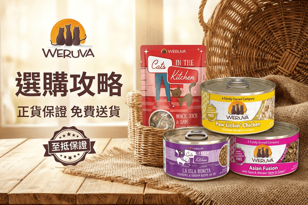 WeRuVa 選購攻略