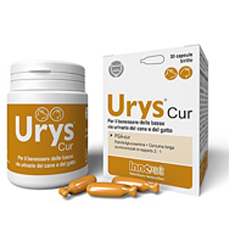 INNOVET Urys-Cur 泌尿配方 30粒
