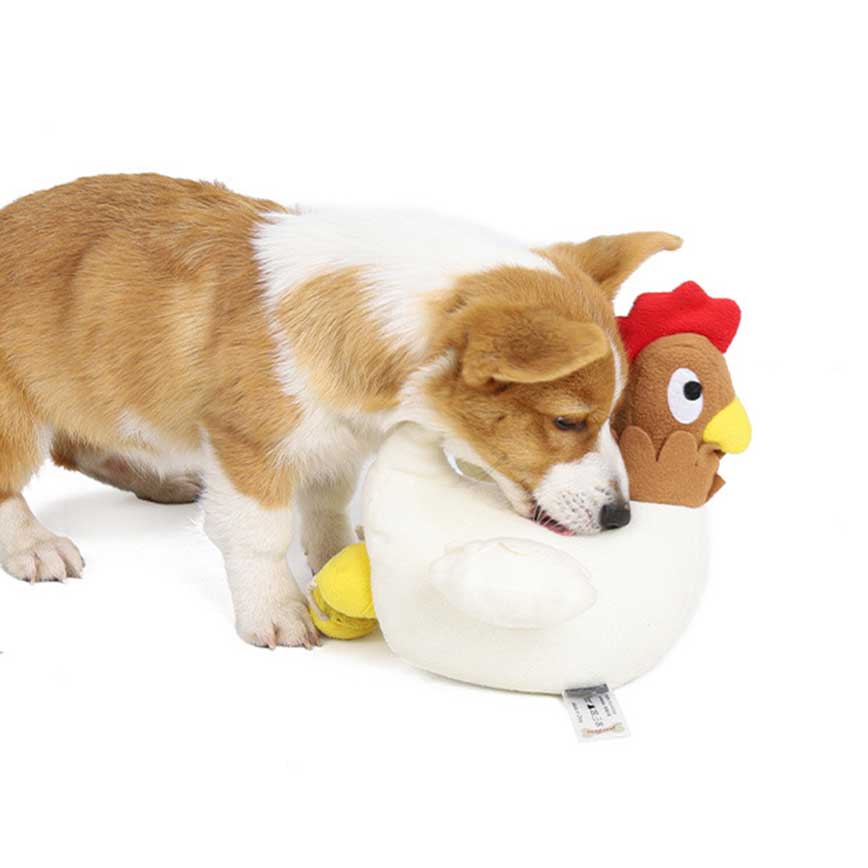 DogLemi 狗狗磨牙訓練玩具 生蛋母雞 一個
