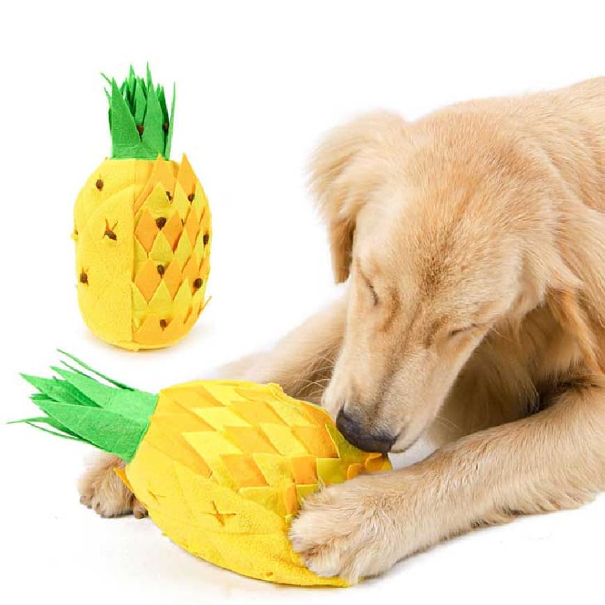 DogLemi 狗狗磨牙訓練玩具 金菠蘿 一個