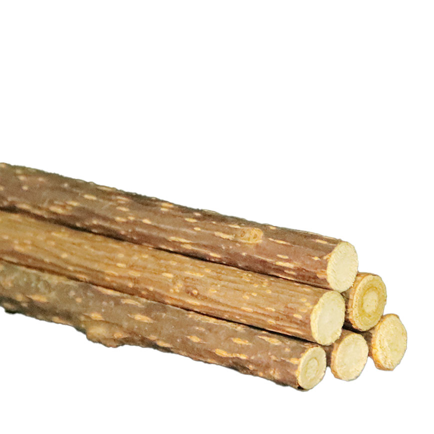 HelloDOG 玩具嚴選 天然木天蓼棒 磨牙棒 (3-6mm) 圖 2