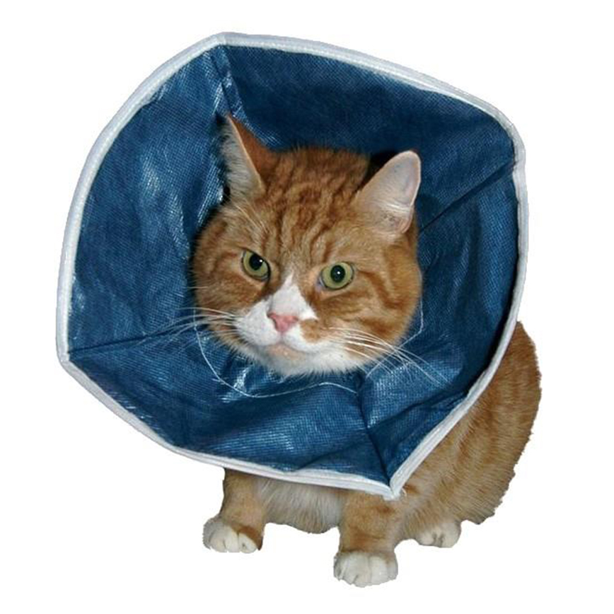 Buster 即棄型頭罩 Disposable Soft Collars (273384) 圖 1