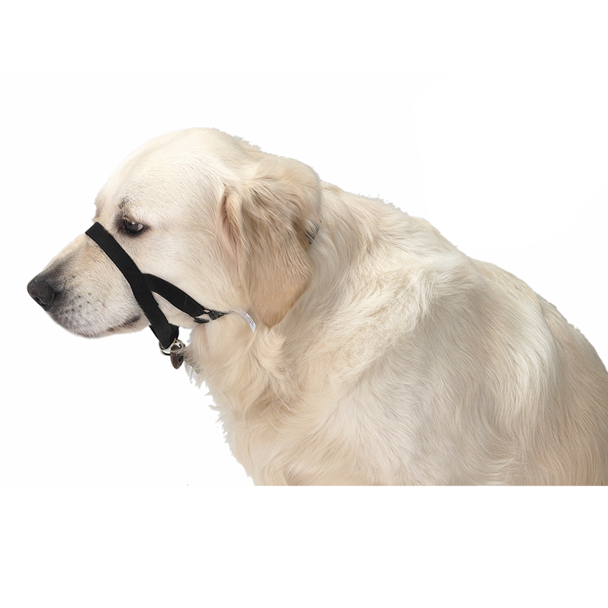 Buster 口罩 臘腸犬/聖伯納德狗 Blood Hound /St. Bernard (274790)