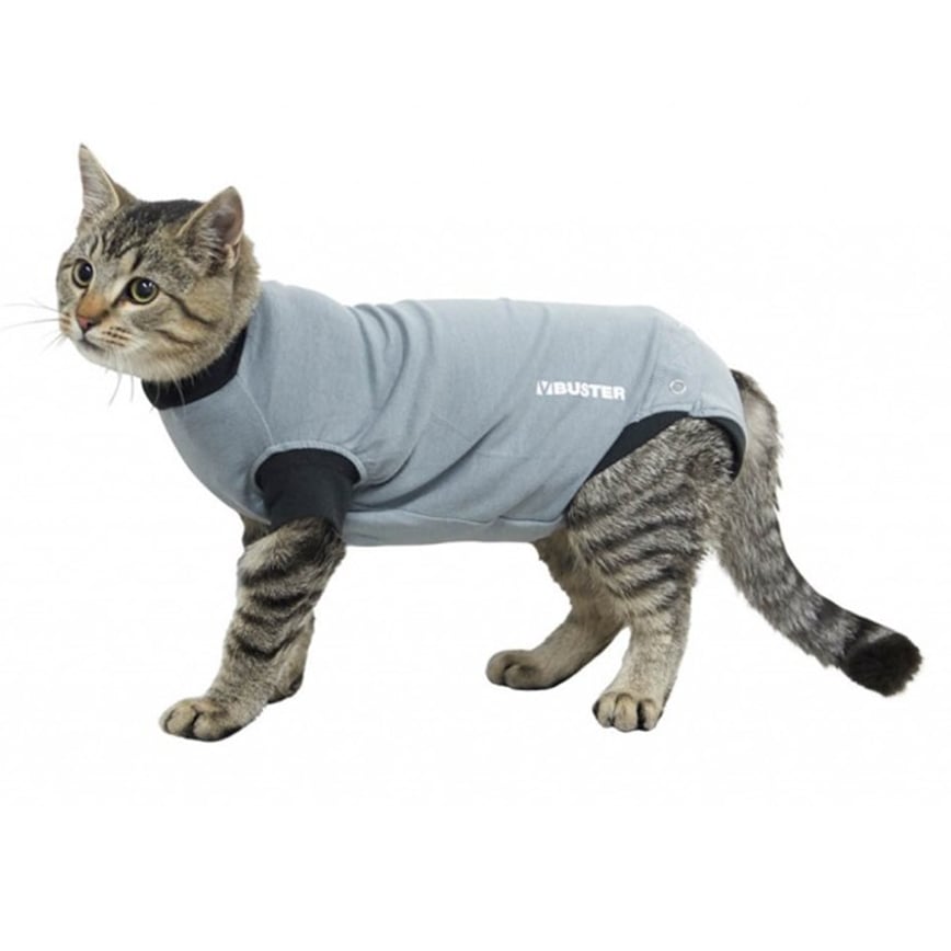 Buster 康復用具 小幼貓 Young cat XXXS (273960)