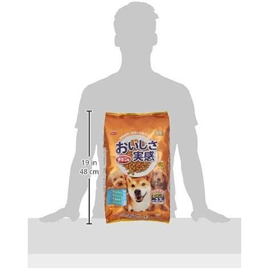 日本SMACK 狗糧 滋味維生素E除臭配方 全犬糧 雞肉味 2.7kg (橙) (停售) 圖 2
