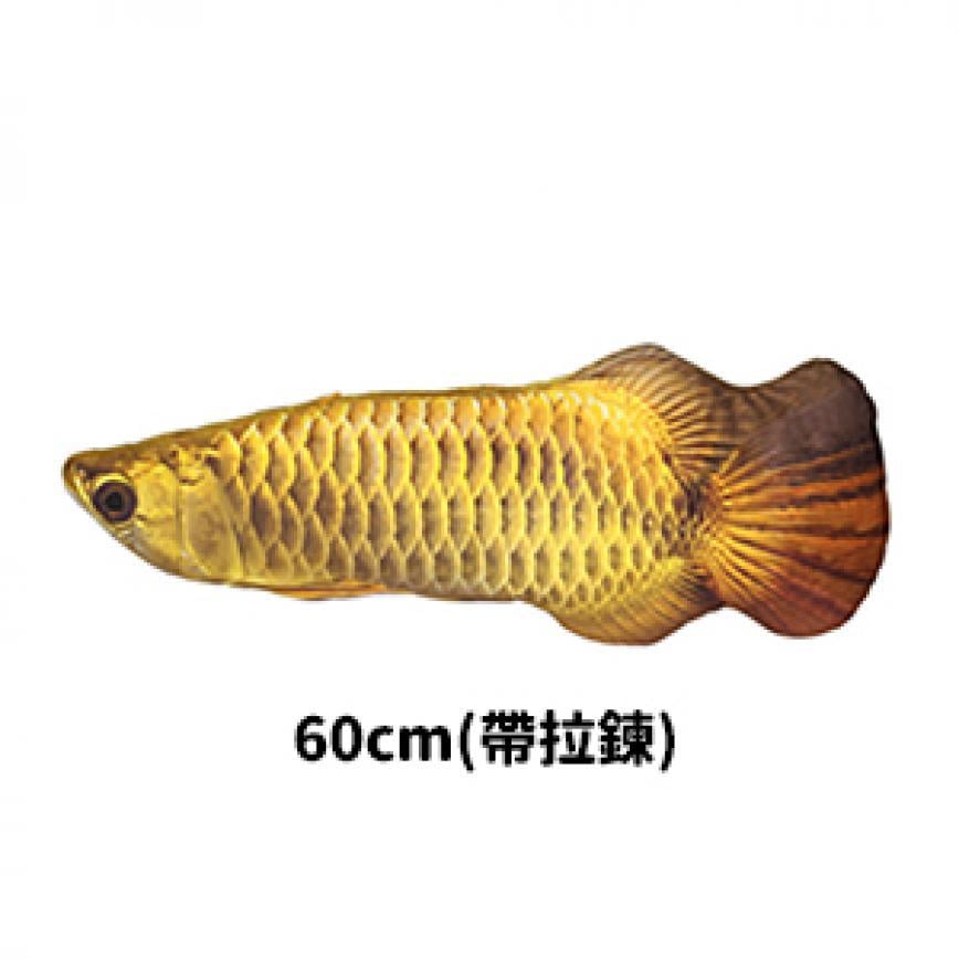 貓咪柔軟舒服抱枕玩具 金龍魚 加大 - 開倉價優惠