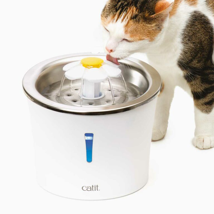 Hagen希勤 飲水器 Catiti系列 噴泉水機 不鏽鋼面花型 3L (C43725)