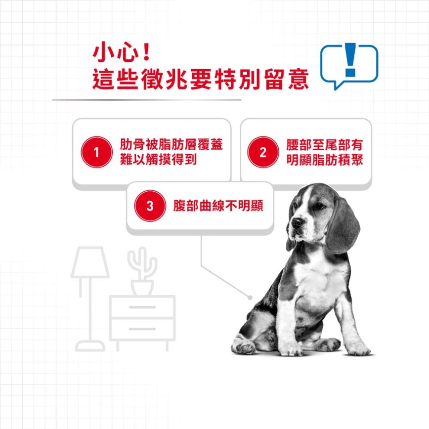 Royal Canin 狗糧 法國皇家狗糧 LIGHT WEIGHT CARE 加護系列 中型犬體重控制加護配方 中型犬 體重控制加護配方 12kg (3053300) 圖 3