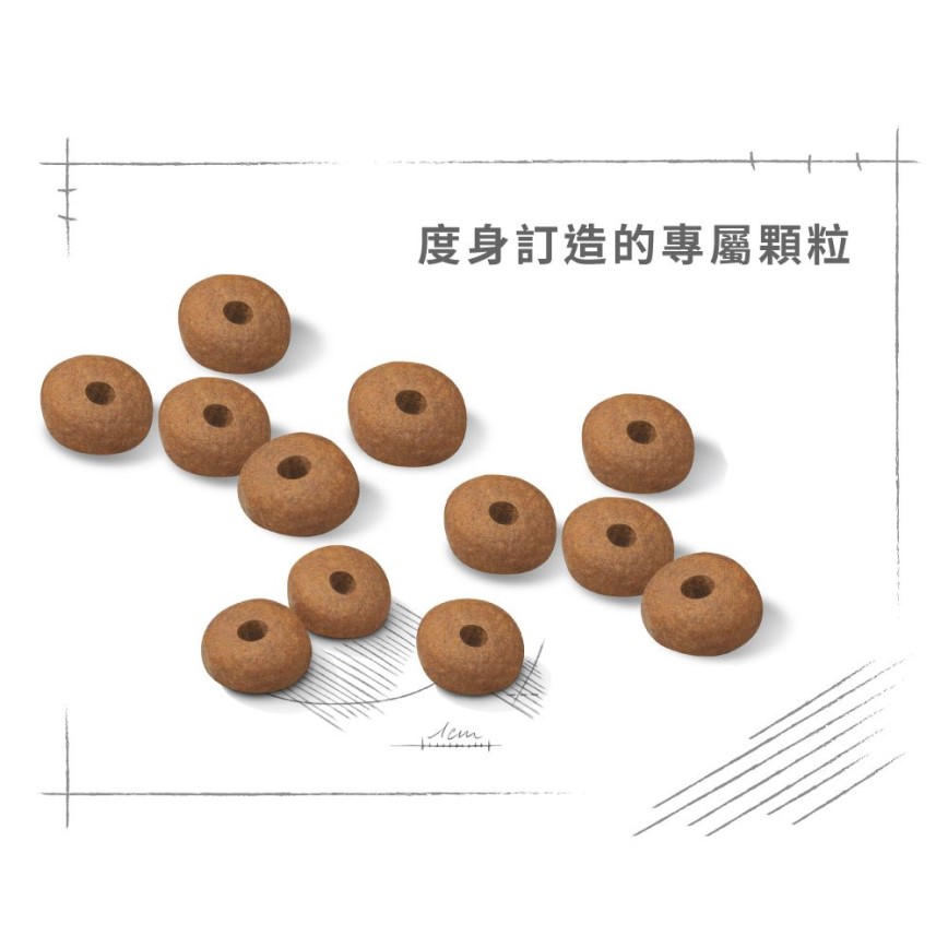 Royal Canin 狗糧 法國皇家狗糧 LIGHT WEIGHT CARE 加護系列 中型犬體重控制加護配方 中型犬 體重控制加護配方 12kg (3053300) 圖 5