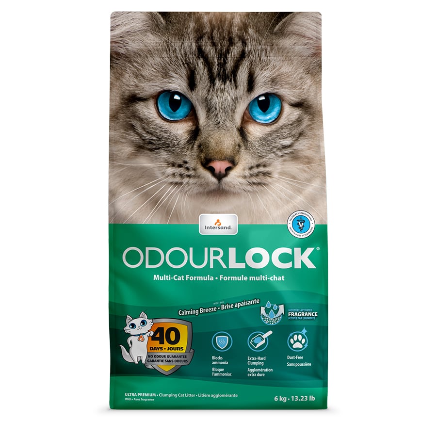 [ 礦物貓砂 ]ntersand Odour Lock 無塵貓砂 輕舒淡香 12kg