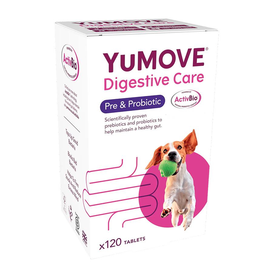 Lintbells YuDIGEST 益生菌元素 120錠 (Yum-PROBIO-120) 圖 2