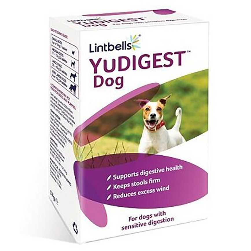 Lintbells YuDIGEST 益生菌元素 300錠 (Yum-PROBIO-300) 圖 1