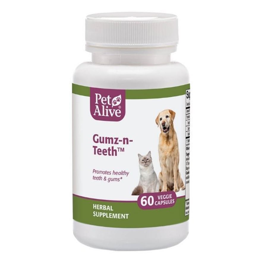 PetAlive Gumz-n-Teeth™ 促進牙齒及口腔健康 60粒 (PGNT001)