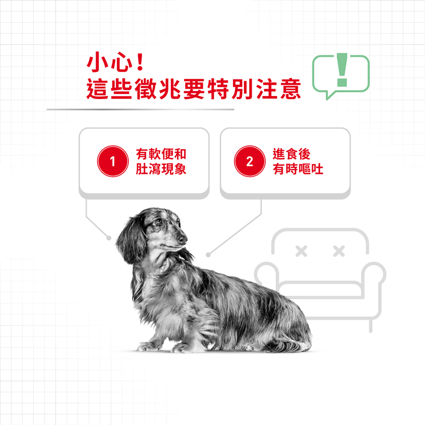 Royal Canin 狗糧 法國皇家狗糧 小型犬消化道腸胃加護配方 DGMI 8kg (2731600) 圖 3