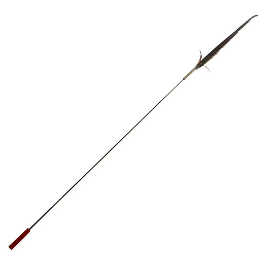 Petio 木天蓼山雞羽毛逗貓棒 超長型 170cm (91602853) 圖 1