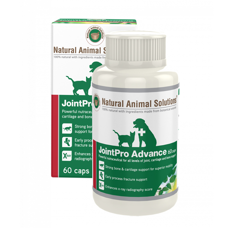 Natural Animal Solutions 全方位骨骼靈 60粒