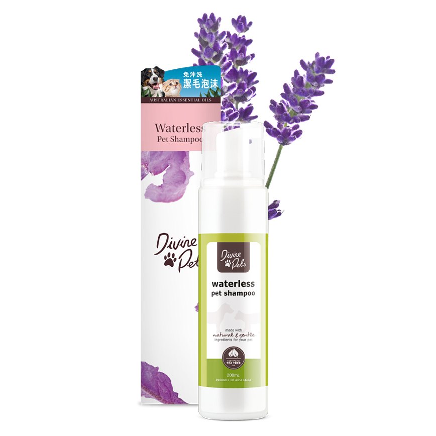 Divine Pets 免沖洗潔毛泡沫 200ml (DP_200_WS)