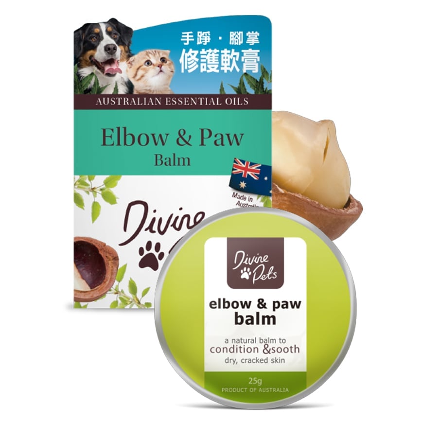 Divine Pets 手踭&腳掌修護軟膏 25g (DP_25_B)