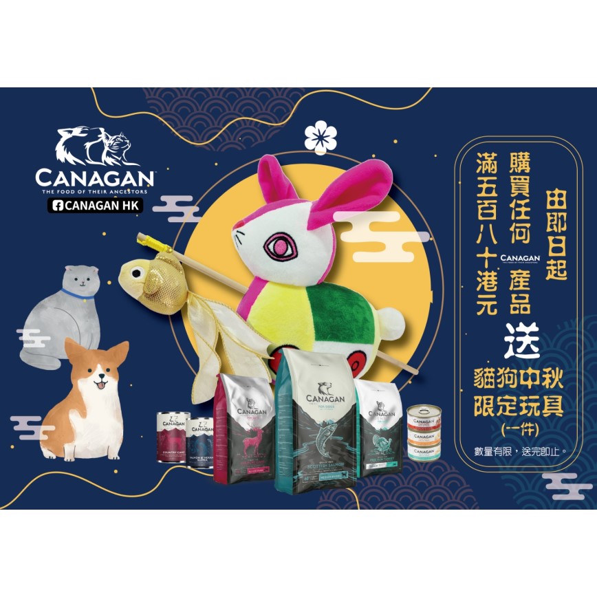 CANAGAN原之選 金魚逗貓棒乙件 (贈品) (2022CANGF) 圖 1