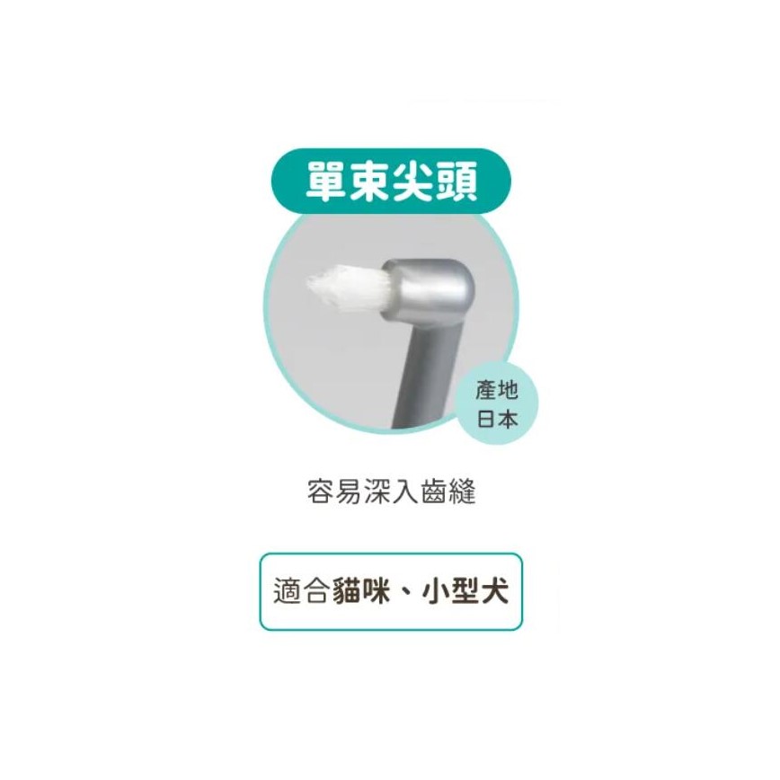 汪喵星球 DogCatStar 犬貓專用牙刷 細軟毛 單束尖頭款 單支裝 (顏色隨機) (GC806) 圖 2