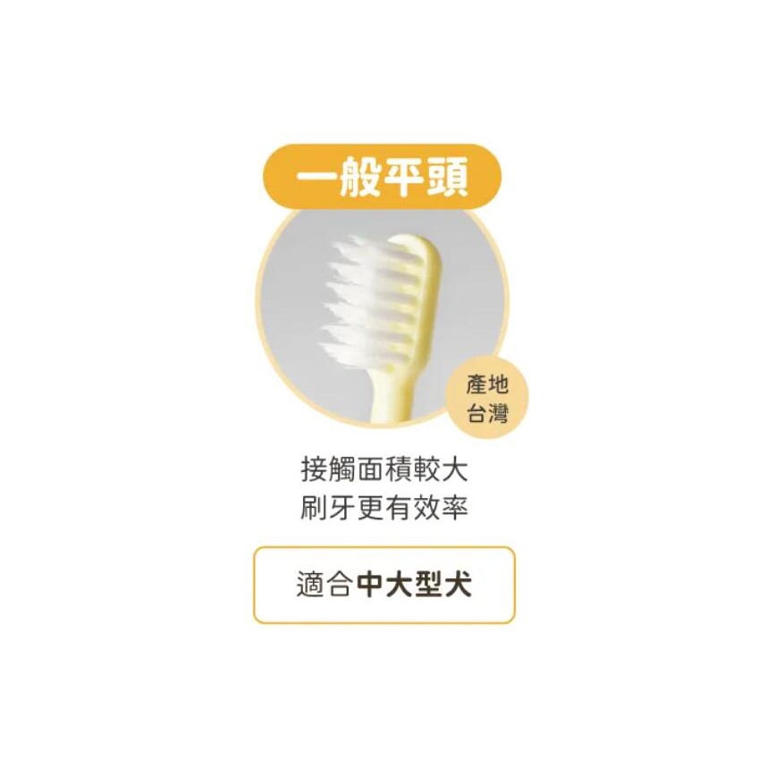 汪喵星球 DogCatStar 犬貓專用牙刷 細軟毛 一般平頭款 單支裝 (顏色隨機) (GC808) 圖 2