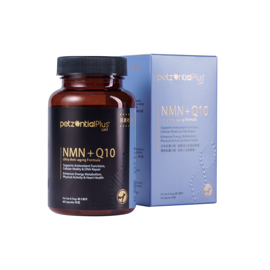 PetzentialPlus UAF NMN+Q10 抗衰老加強配方 60粒 (貓犬用) (003130) 圖 1