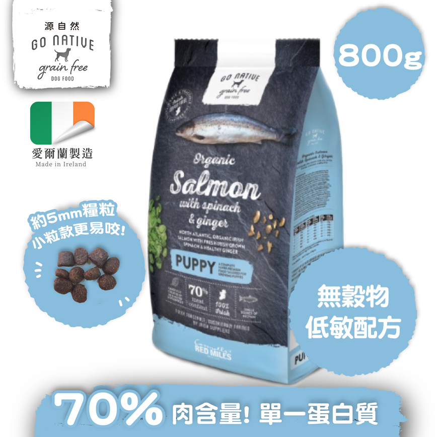 Go Native 幼犬三文魚低敏狗糧 800g